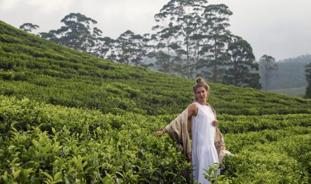 Exploring the Lush Beauty of Tea Plantations While Enjoying Nature's Tranquility Amidst vibrant green tea bushes, a woman traveler revels in the serene landscape of a sprawling plantation. Her presence harmonizes with the nature surrounding her.